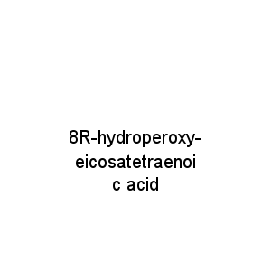 8R-hydroperoxy-eicosatetraenoic acid